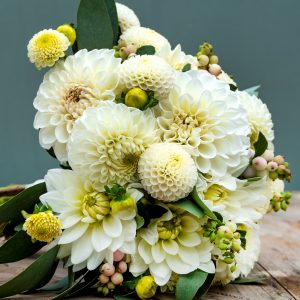 Ilovedahlia - The white Collection