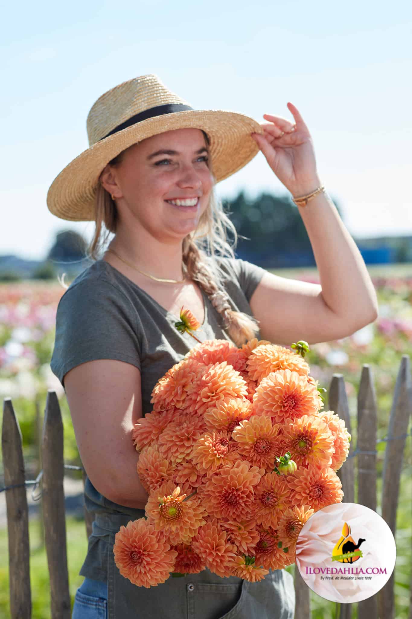 Dahlia Amber Crystal