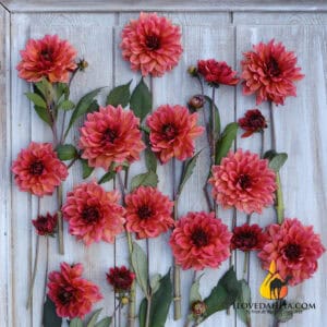 Dahlia Invitation