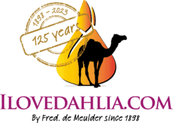 Reality - Real Estate Template