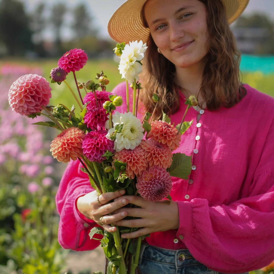 1C3E69BB-7C1F-40D8-A0A4-B30755D45774